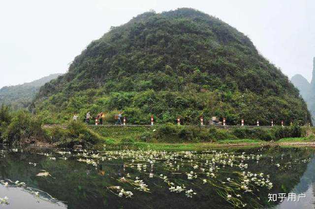 如果你哪天从桂林市永福县百寿镇百寿河旁走过或许有机会发现旁边这