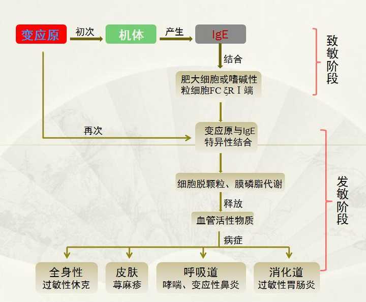 变态反应(过敏)有什么生理上和进化上的意义?