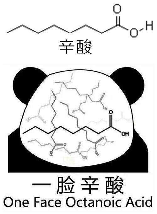 24~26 岁的你,处于怎样的状态?未来准备如何做?