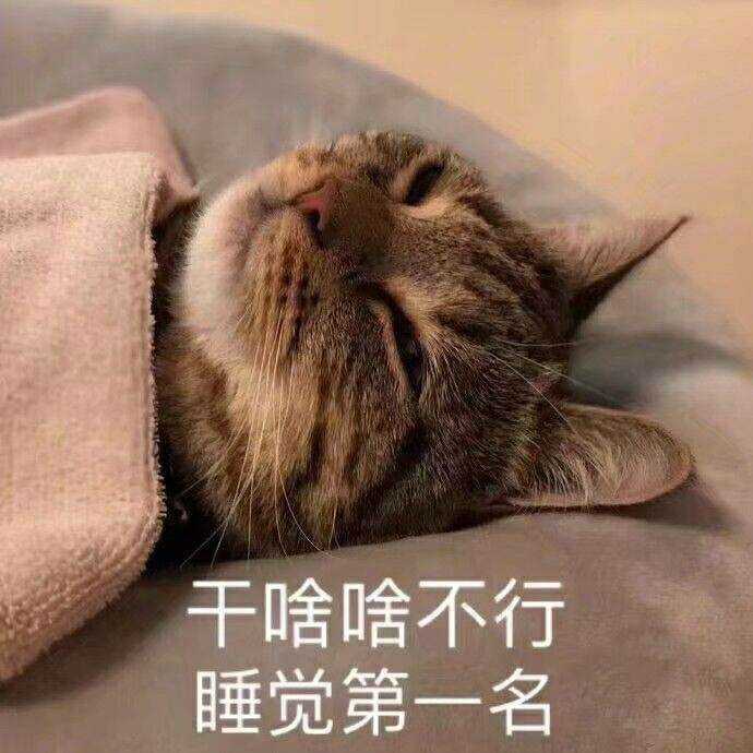 可不可以用一组表情包来描述一下你的大学生活?