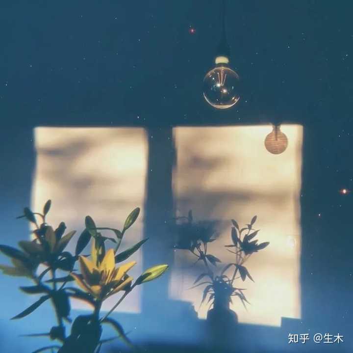 你用过最喜欢的朋友圈背景图是哪一张?