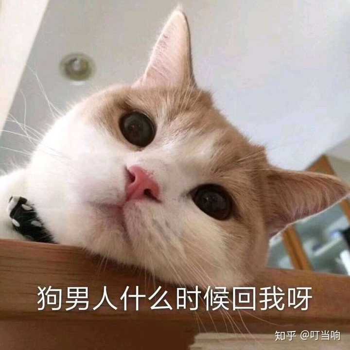 有那些撩男朋友的斗图?