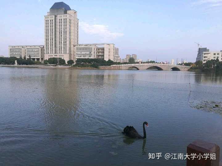 江南大学读研是怎样一番体验?