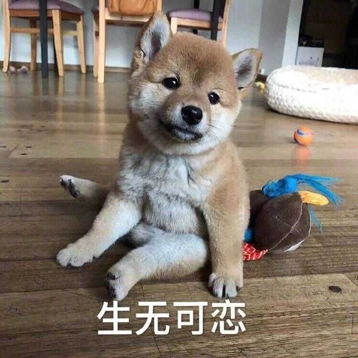 村里那些聚在一起的天天嚼舌根的老大妈最恐怖吧
