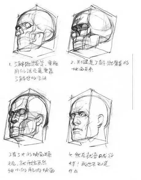 如何去练习绘画人体结构透视?