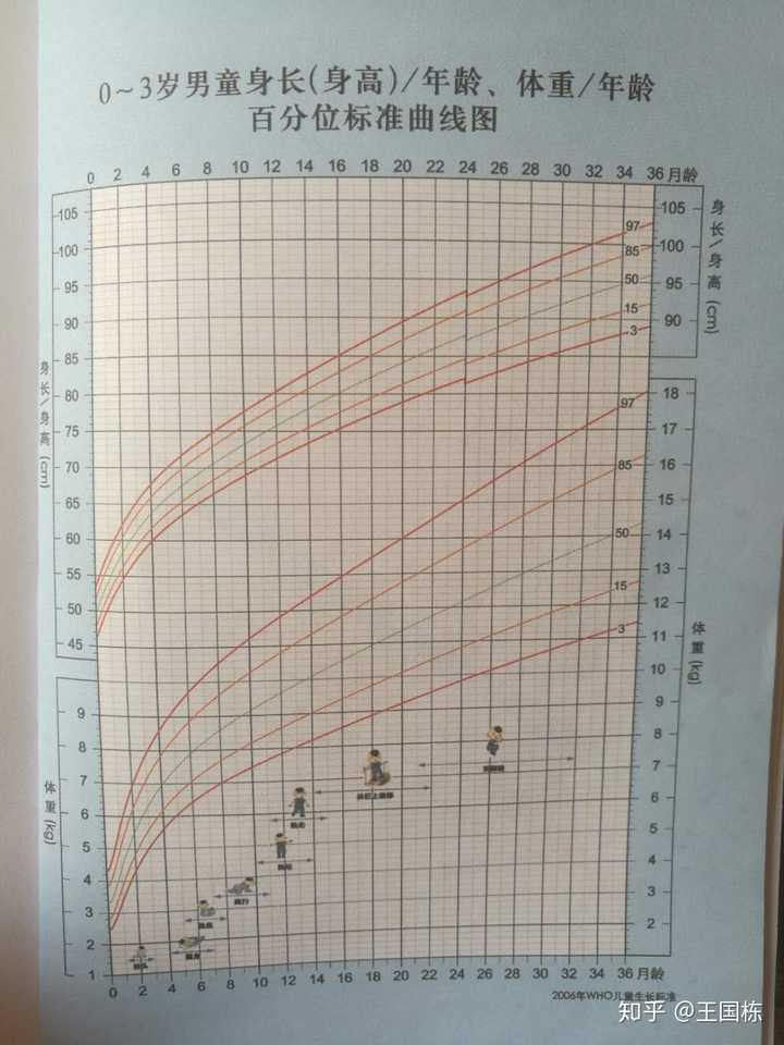 2. 0-3岁男童身高/年龄,体重/年龄百分位标准曲线图