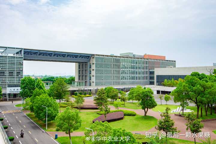 二本新闻学考研,武汉理工大学,华中农业大学,中国地质大学(武汉)应该