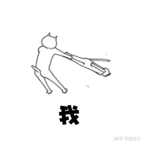 还是跟猫一块儿蹦迪呢?