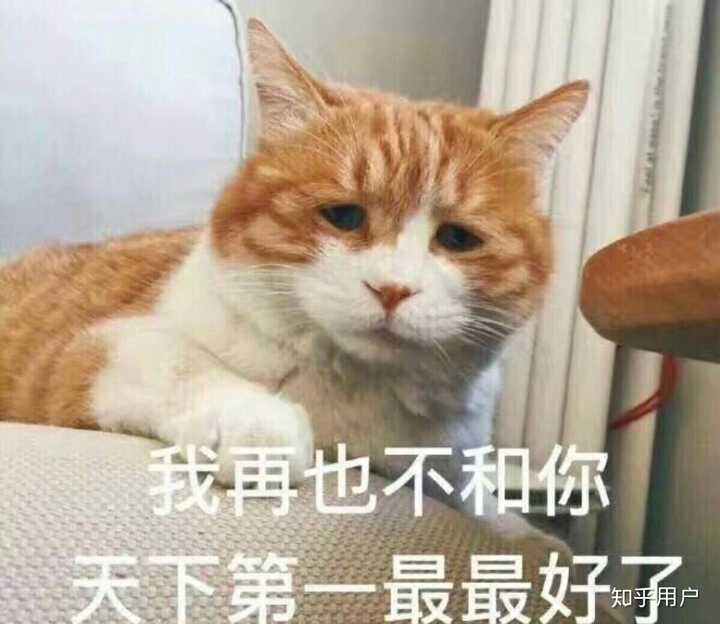 安慰沙雕闺蜜专用图↓↓↓