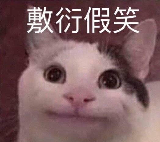 大家,有没有猫的沙雕表情包?