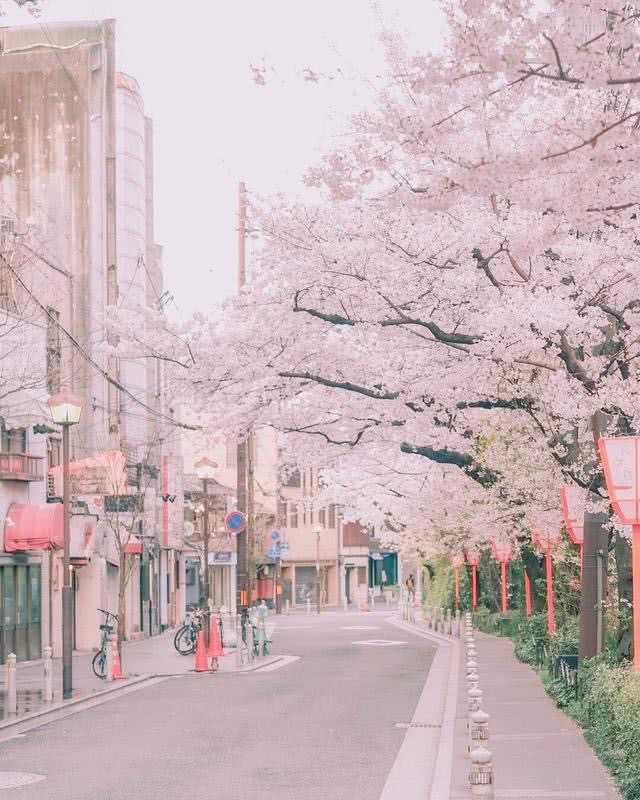 有什么可爱的全屏背景图推荐?