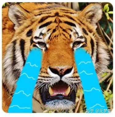 猛虎落泪