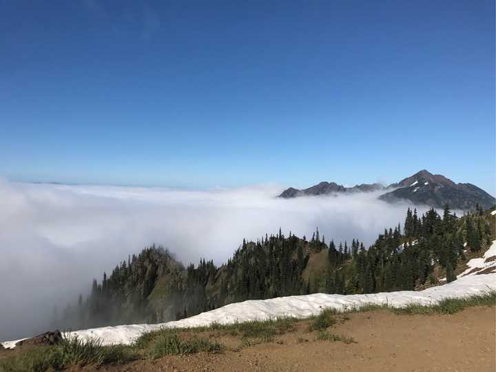 详细介绍一下和《暮光之城》里的小镇福克斯差不多的地方,就是终年