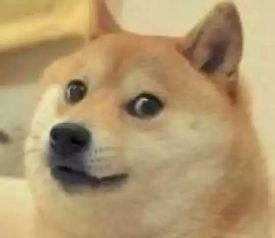 以上,手动狗头,保命要紧!