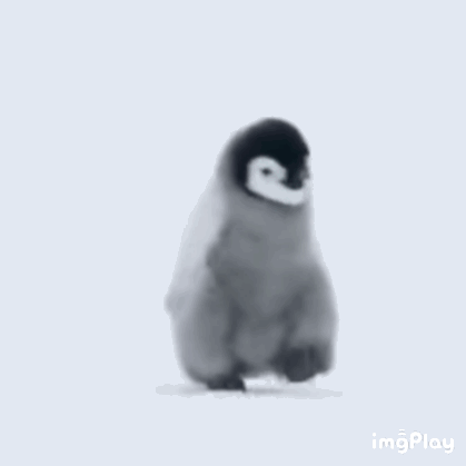 能不能给我来点表情包?