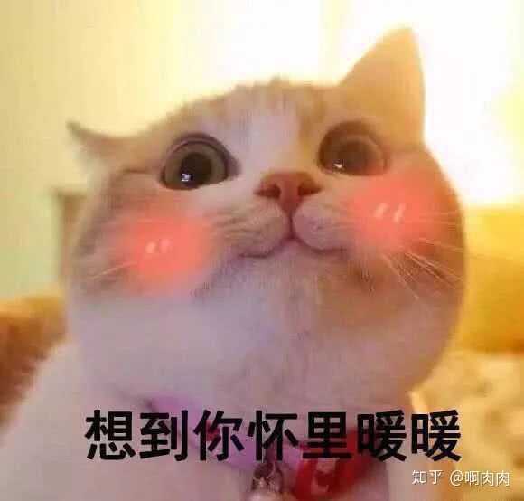 有哪些哄女朋友的表情包?