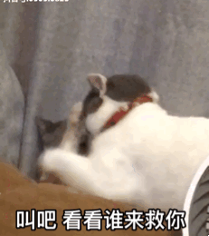 有哪些很污的表情包?