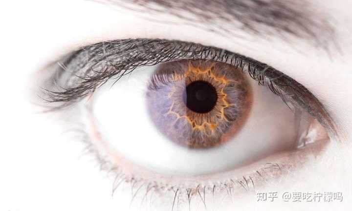 眼睛瞳孔有多少种颜色?