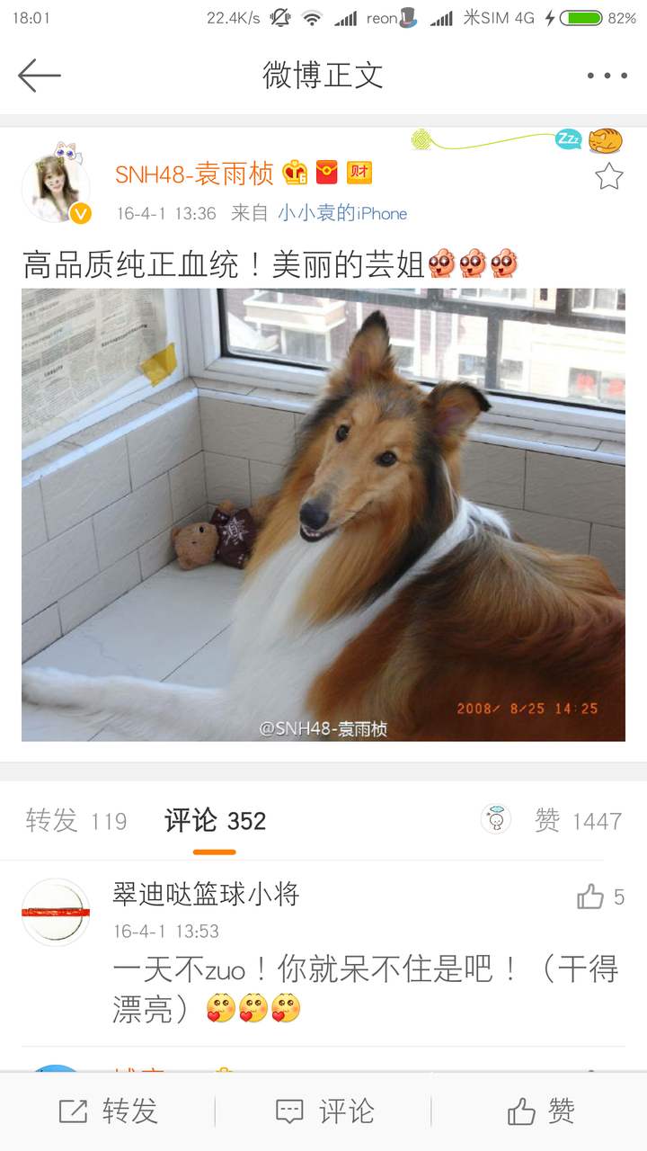 芸雨cp中有哪些反映余震活着就是糖这句话的事例