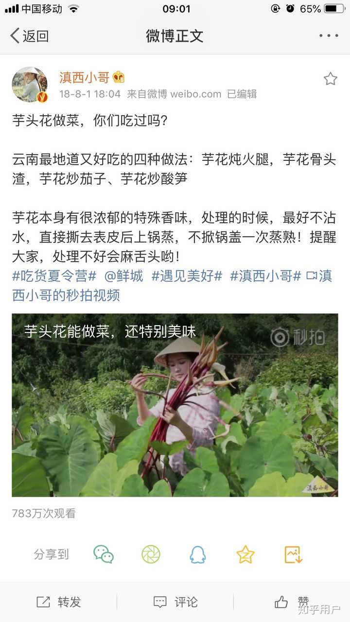 滇西小哥做的菜有多少是云南人平时会吃的?