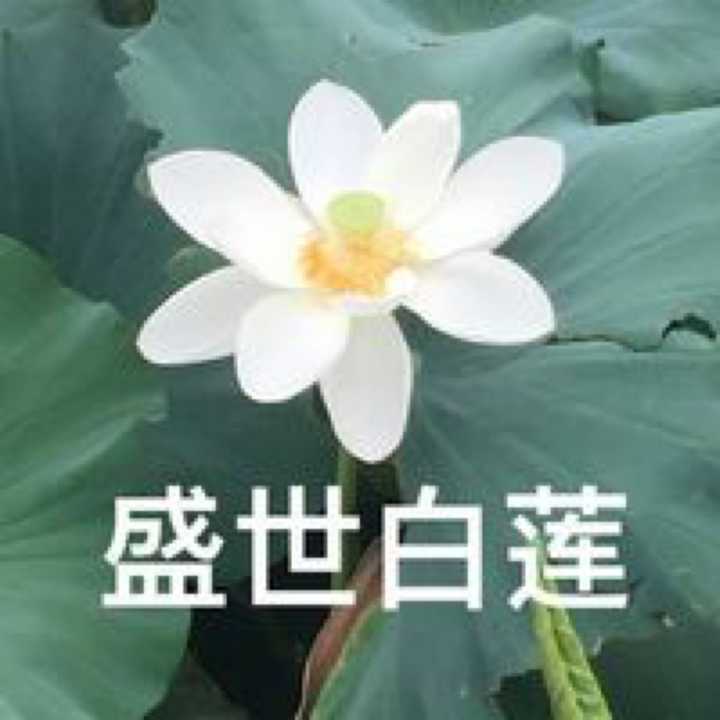 有没有什么好运的头像 要好运的 幸运的 如意的那种?