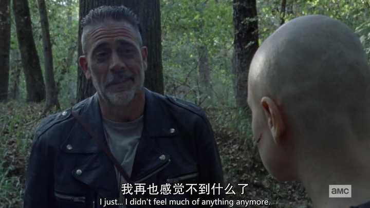 如何评价美剧《行尸走肉 第十季》第十二集?