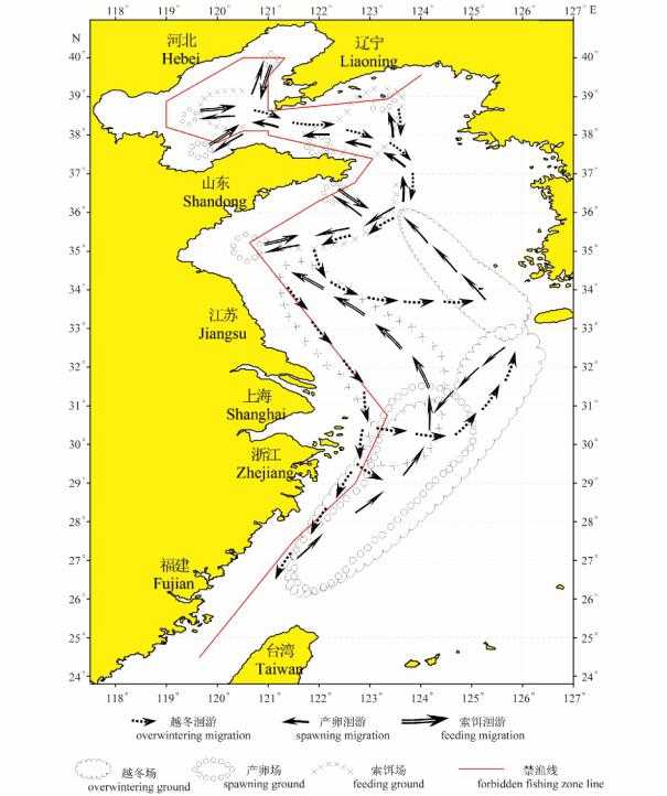 东海和黄海的带鱼洄游图,请仔细看渤海中的越冬场和产卵场位置