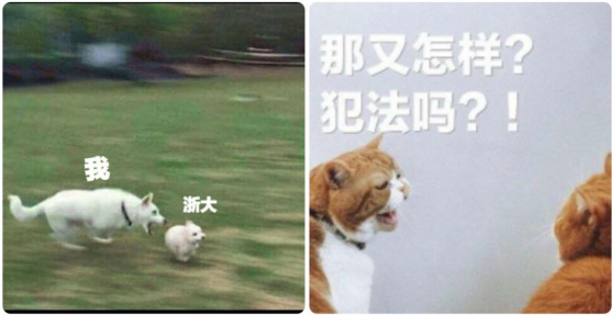 三本学生想跨专业考法硕,我知道肯定难度不小,求推荐一下好的学校