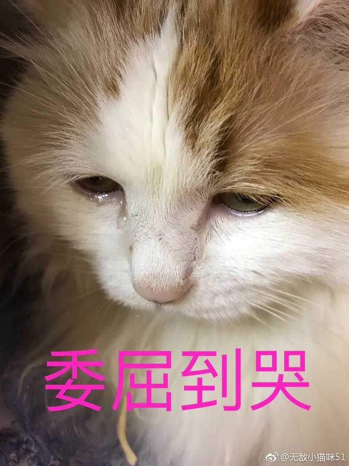 哪个瞬间你觉得自己很蠢?
