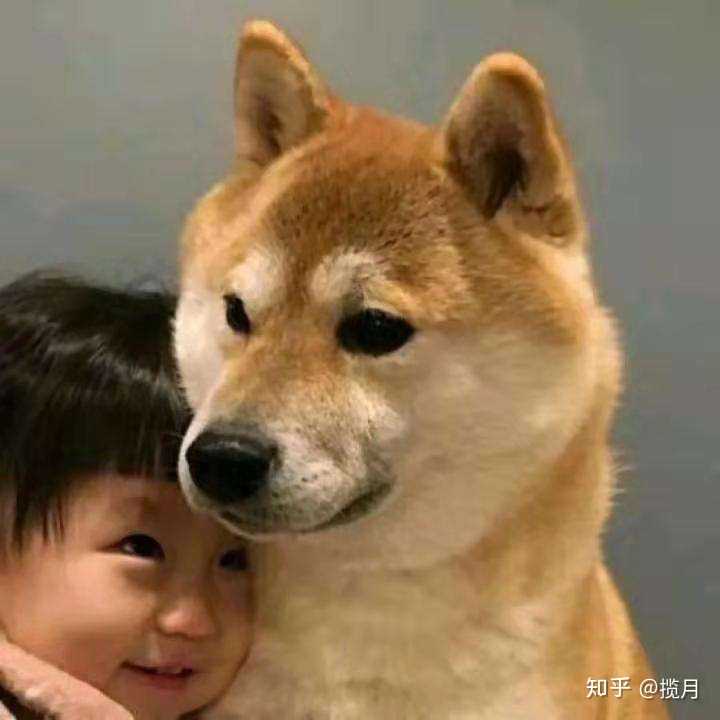 有类似这样一人一狗的情侣头像吗?