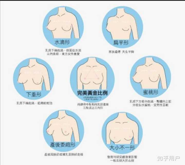 d罩杯,上下围 约差18cm 基本上满足黄金比例,是标准胸型 水滴胸型.