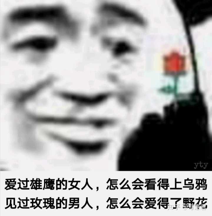有哪些可爱的沙雕句子?