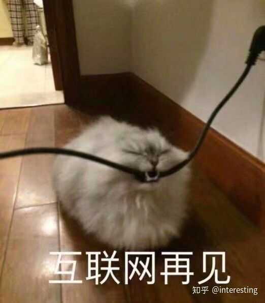 有兄弟有沙雕头像嘛?
