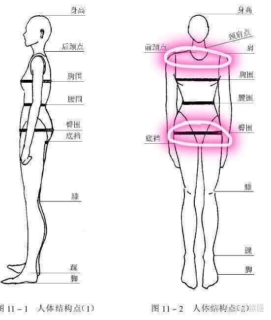 (如图所示,就是肩和胯的位置)