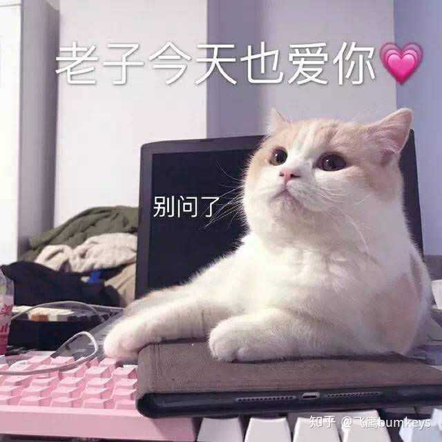 有没有可以给对象发的撒娇的表情包?