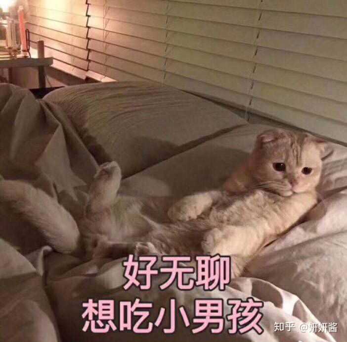 有哪些哄女朋友的表情包?