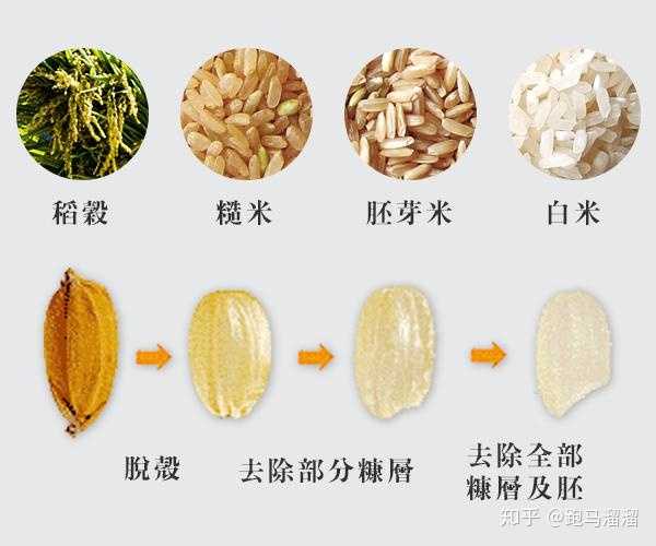 什么是「糙米」?它和「白米」有什么区别?