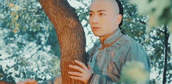 如何评价陈晓在电视剧那年花开月正圆中的演技