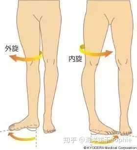 宽的位置在腰际下边,和腰部,大腿柔和衔接,所以会显得腰细腿长,整个人
