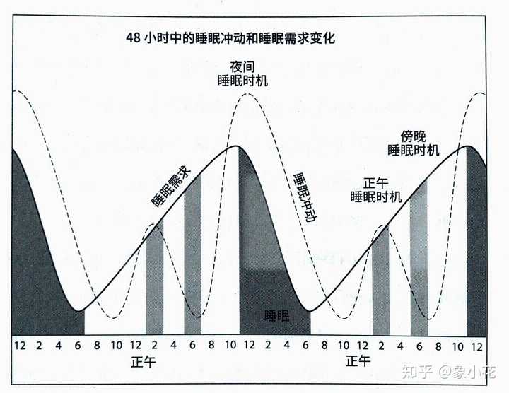 准时准点的睡眠真的那么重要吗?