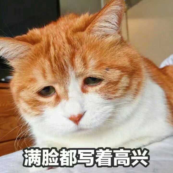身高166bim19 被男朋友嫌弃胖,明天起床附图,欲哭无泪