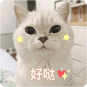 有哪些可爱的猫猫表情包?