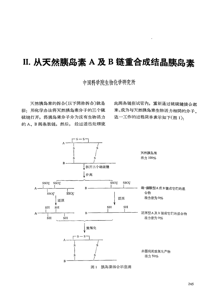 人工牛胰岛素的多肽链是怎样合成的