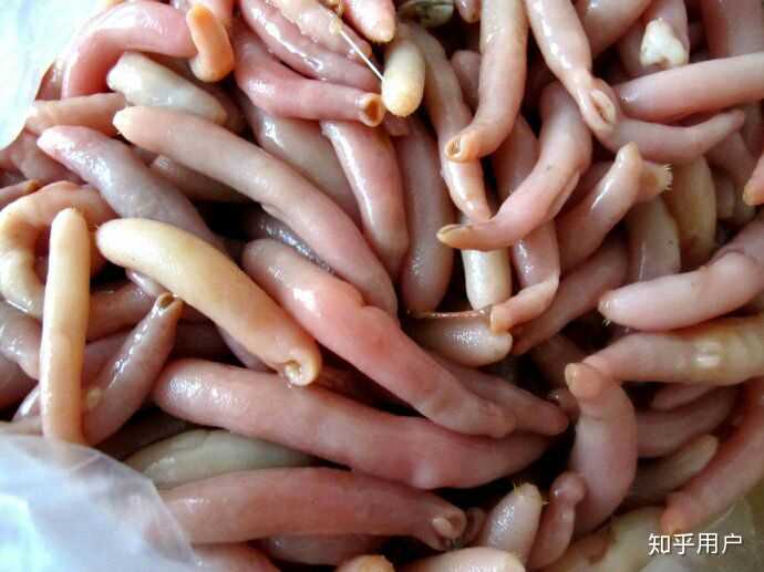 蛔虫对人体影响有多大?