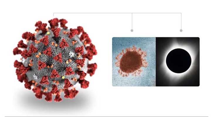 美国公布了新冠病毒在电子显微镜下的图像,新冠病毒长