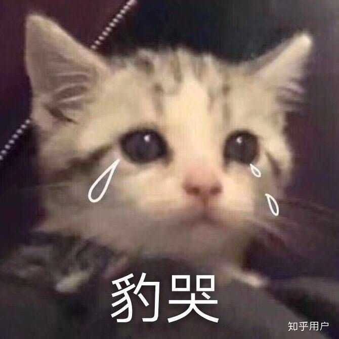 此图才能略微表达我激动的心情