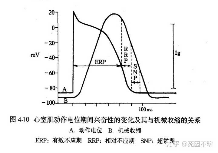 默认你说的是心室肌 答案是不可以,因为心室肌有一个很长的有效不应期