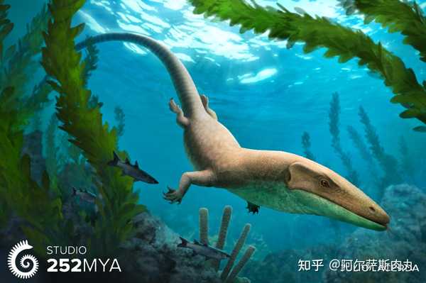 阿尔萨斯肉丸 的想法: "末世海王" 特提斯龙(tethysaurus)是… - 知乎