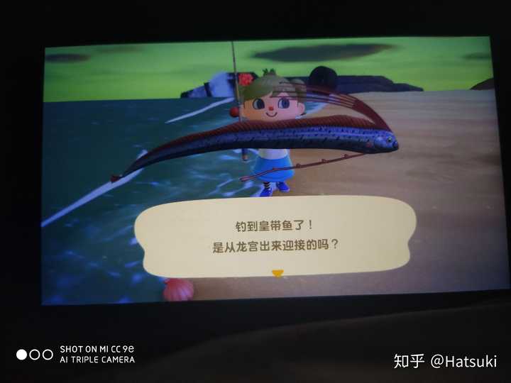 动物之森适合单机玩吗