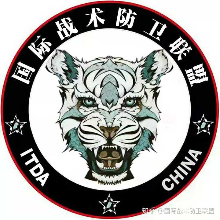 何为莫桑比克射击法,马盖普射击法,c.a.